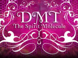 DMT – La Molécula Espiritual – 1
