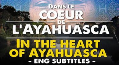 Voyage au Pérou et retraite chamanique